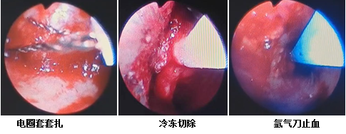 微信圖片_20231129154617.png