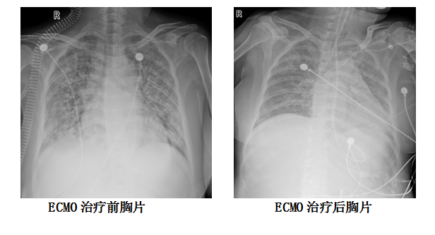 微信圖片_20241203112058.png
